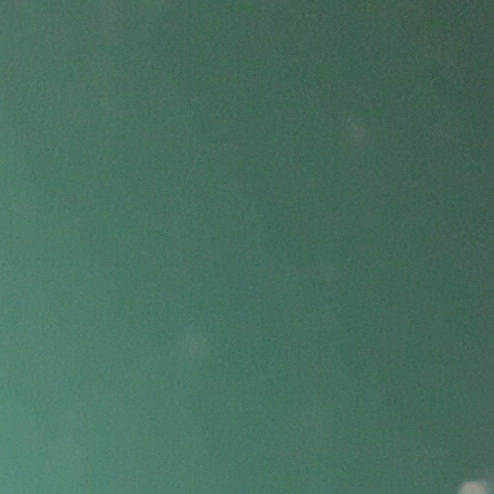 Гладкий лист 0,45 мм RAL 6005  Алюцинк із полімерним покриттям