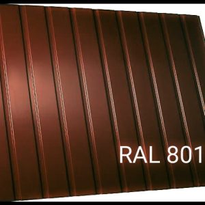 Профнастил C-10 тип П/RAL 8017/0.45 мм/Термастил